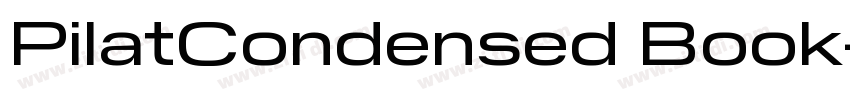 PilatCondensed Book字体转换